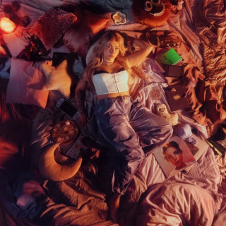 Evelina - Pehmee album cover