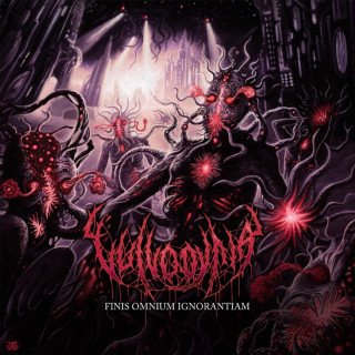 Vulvodynia - Finis Omnium Ignorantiam album cover