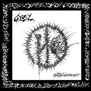 GEL - Only Constant album cover