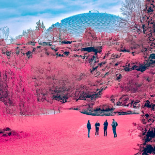 The Zolas - Swooner album cover