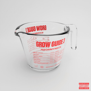 163ONMYNECK - GROW GUIDE 3 album cover