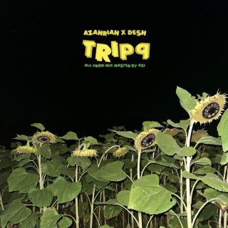 Azahriah - tripq album cover