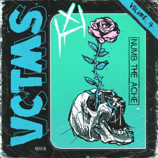 VCTMS - Vol. IV Numb The Ache album cover