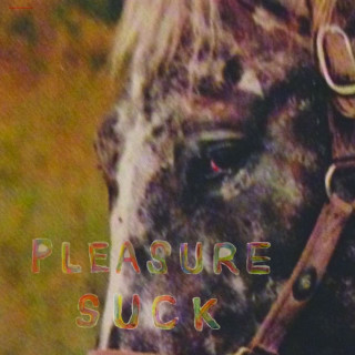 SPIRIT OF THE BEEHIVE - Pleasure Suck album cover