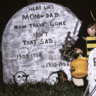SPIRIT OF THE BEEHIVE - The Spirit Of The Beehive album cover