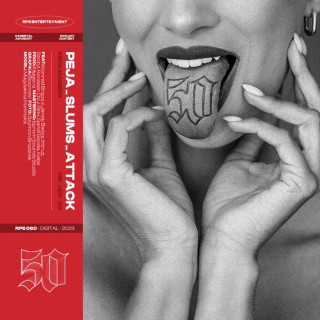 Peja, Konrad Brzos & Janek Badys - HIP_HOP_50 album cover