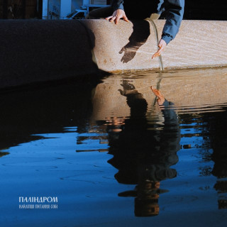 palindrom (паліндром) - Найліпші Питання Собі album cover