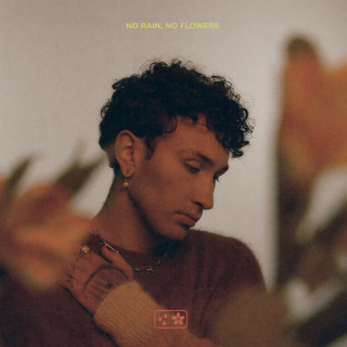 Dylan Matthew - no rain, no flowers EP cover