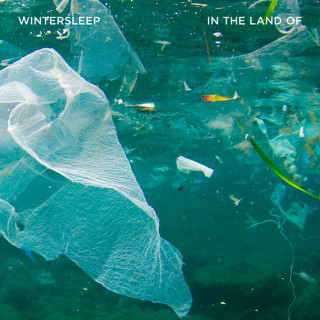 Wintersleep - In The Land Of album cover