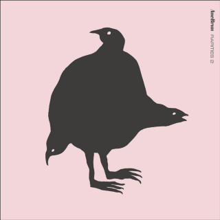 Ane Brun - Rarities 2 album cover
