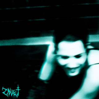 zavet - gotika album cover