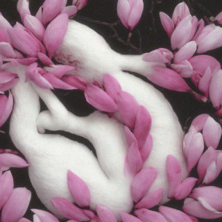 Сюзанна & Thomas Mraz - Плод album cover