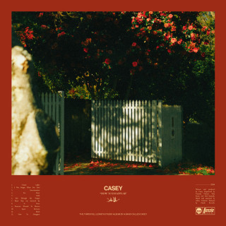 Casey - How To Disappear album cover