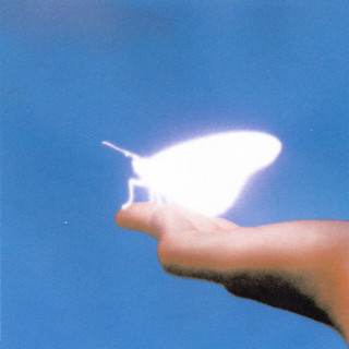 Shallou - In Touch album cover