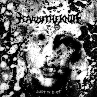 Year Of The Knife - Dust To Dust single cover