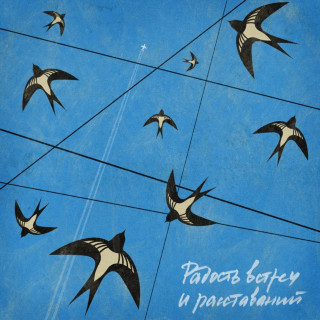 25/17 - Радость Встреч И Расставаний album cover