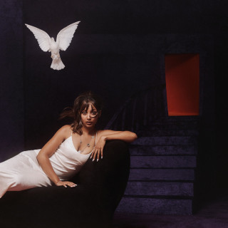 PinkPantheress - Heaven Knows album cover