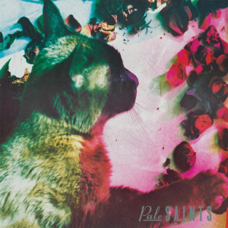 Pale Saints - The Comforts Of Madness album cover