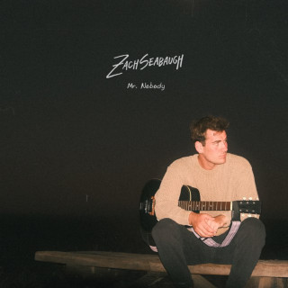 Zach Seabaugh - Mr. Nobody album cover