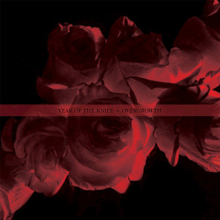 Year Of The Knife - Overgrowth album cover