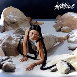 Wallice - Mr Big Shot EP cover