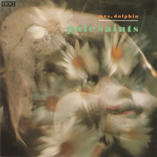 Pale Saints - Mrs. Dolphin album cover