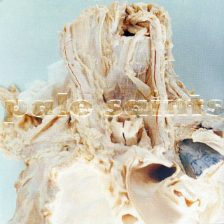 Pale Saints - In Ribbons album cover