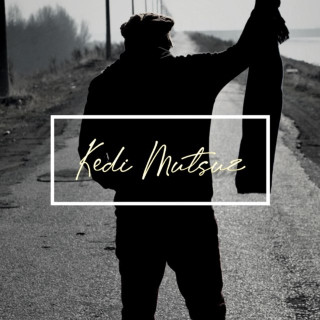 Anıl Emre Daldal - Kedi Mutsuz single cover