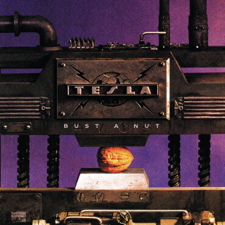 Tesla - Bust A Nut album cover