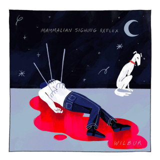 Wilbur Soot - Mammalian Sighing Reflex album cover
