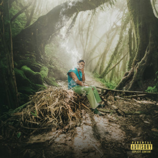 Myke Towers - LVEU: VIVE LA TUYA...NO LA MIA album cover
