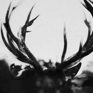 Ihsahn - Ihsahn album cover