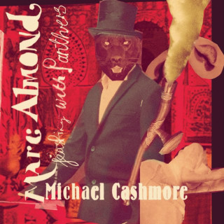 Marc Almond - Feasting With Panthers album cover