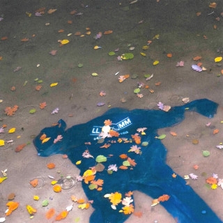 Levin Liam & Miksu / Macloud - neue Ufer EP cover