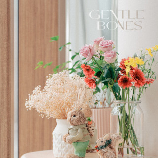 Gentle Bones - Same Same EP cover