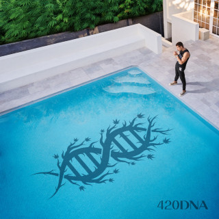 ChillinIT - 420DNA album cover