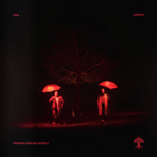 Opał - Pierwsza Jesień Bez Depresji album cover