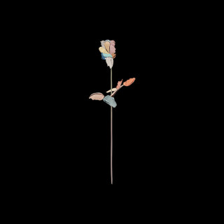 DRAMA - Till We Die EP cover