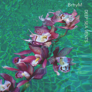 BrhyM (Bruce Hornsby & yMusic) - Deep Sea Vents album cover