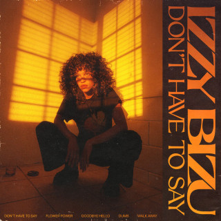 Izzy Bizu - Don't Have To Say EP cover