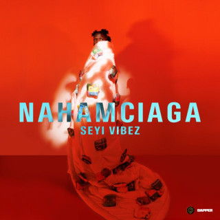 Seyi Vibez - NAHAMciaga EP cover