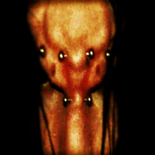 9mice - ORPHEUS album cover