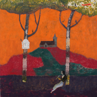 The Felice Brothers - Asylum On The Hill album cover