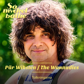 The Wannadies - Så Mycket Bättre 2023 – Tolkningarna EP cover