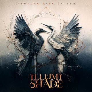 ILLUMISHADE - Another Side Of You album cover