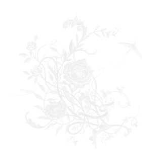 Aimer - 白色蜉蝣 (Shiroiro Kagerou) EP cover