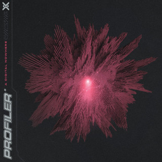 Profiler - A Digital Nowhere album cover
