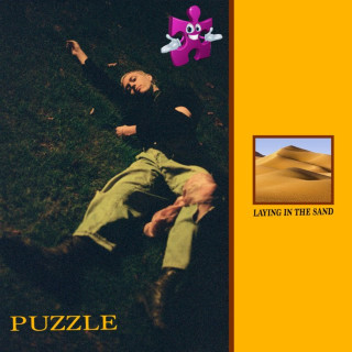Puzzle - Laying In The Sand album cover