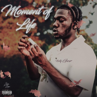 Nesty Gzz - Moment Of Life album cover