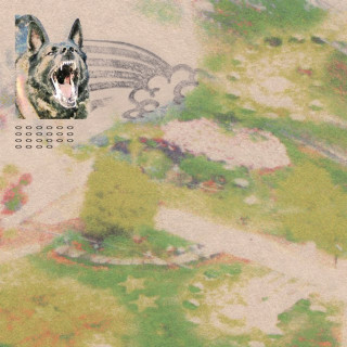 feeble little horse - Girl With Fish album cover